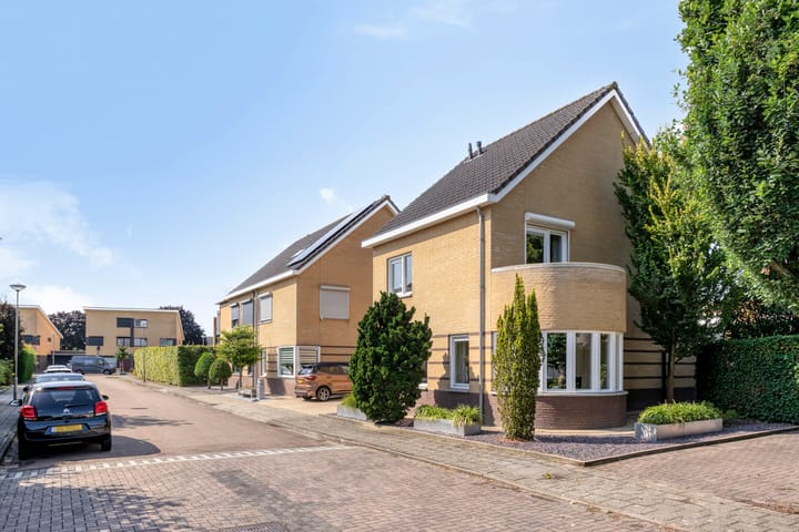 Foto 5 van Havikskruid 5