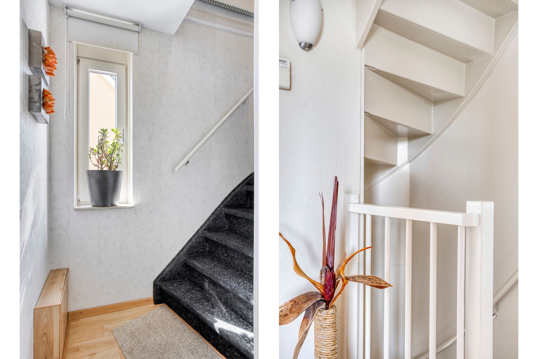 Foto 24 van Havikskruid 5