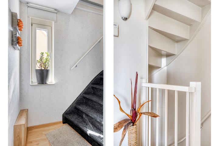 Foto 24 van Havikskruid 5