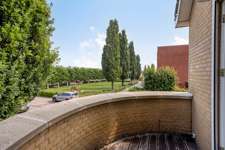 Foto 28 van Havikskruid 5