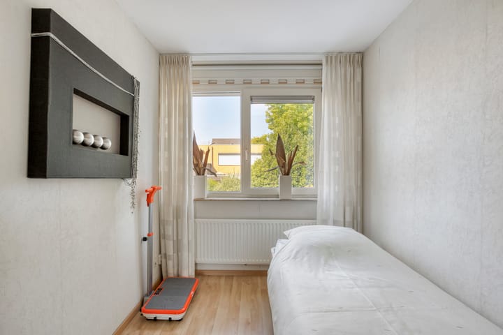 Foto 34 van Havikskruid 5