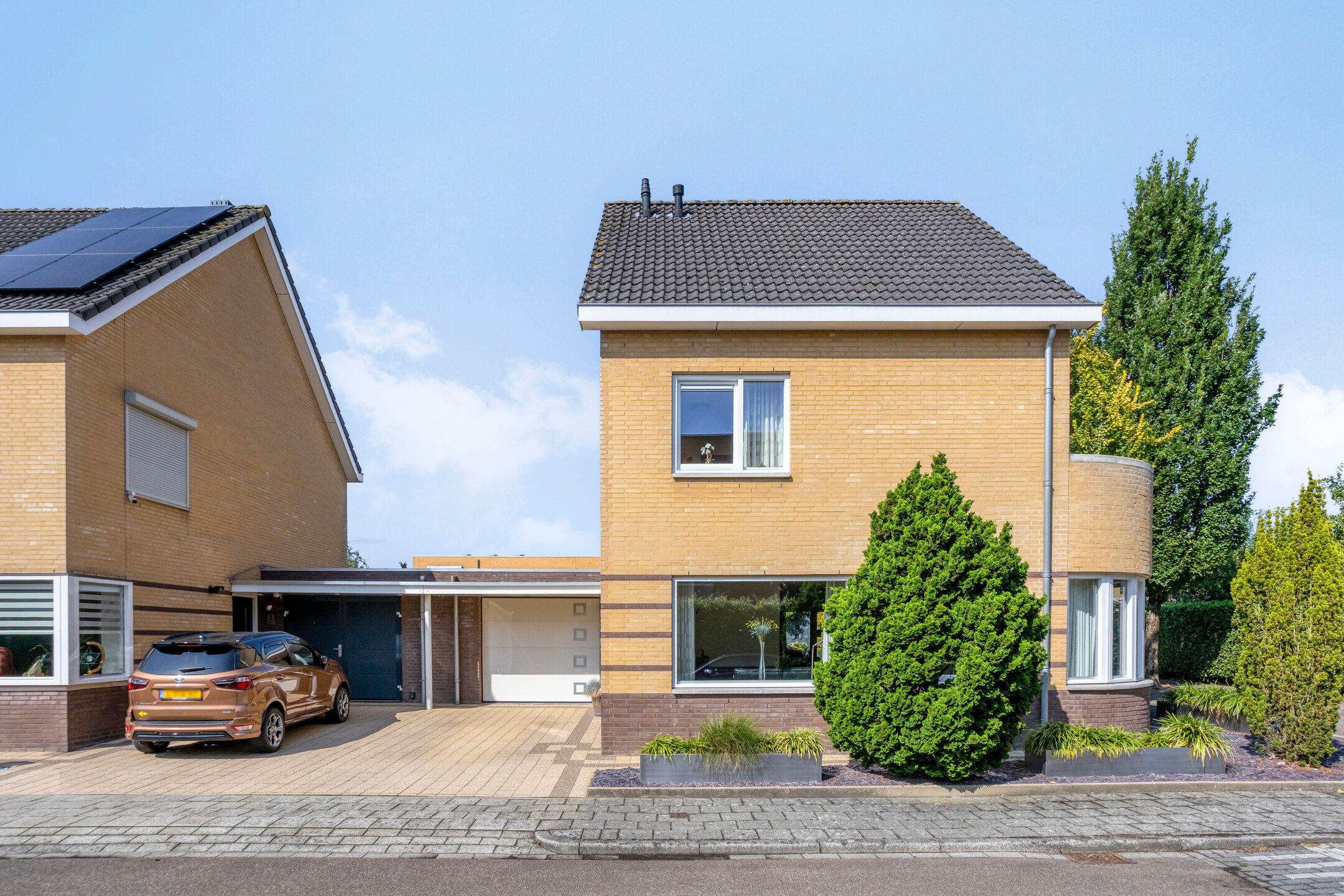 Foto 6 van Havikskruid 5