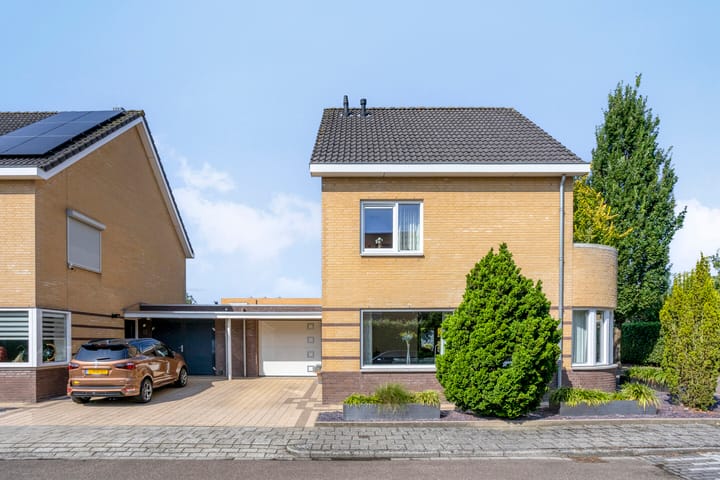 Foto 6 van Havikskruid 5