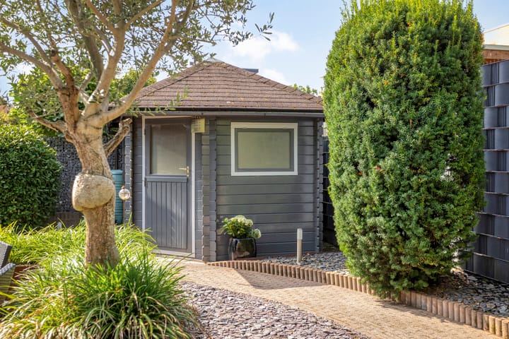 Foto 42 van Havikskruid 5