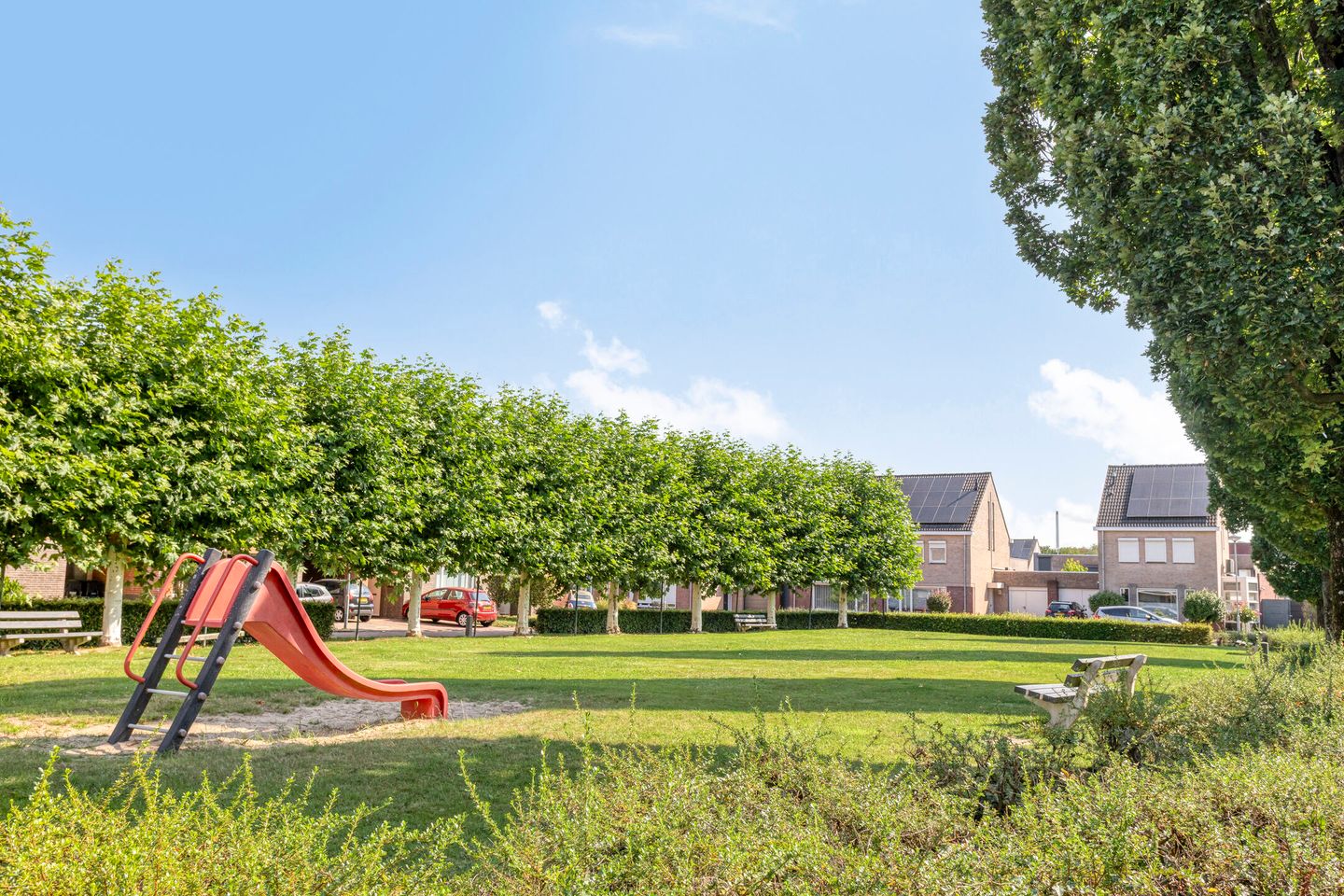 Foto 44 van Havikskruid 5