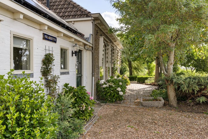 Foto 5 van Krabbedyk 4