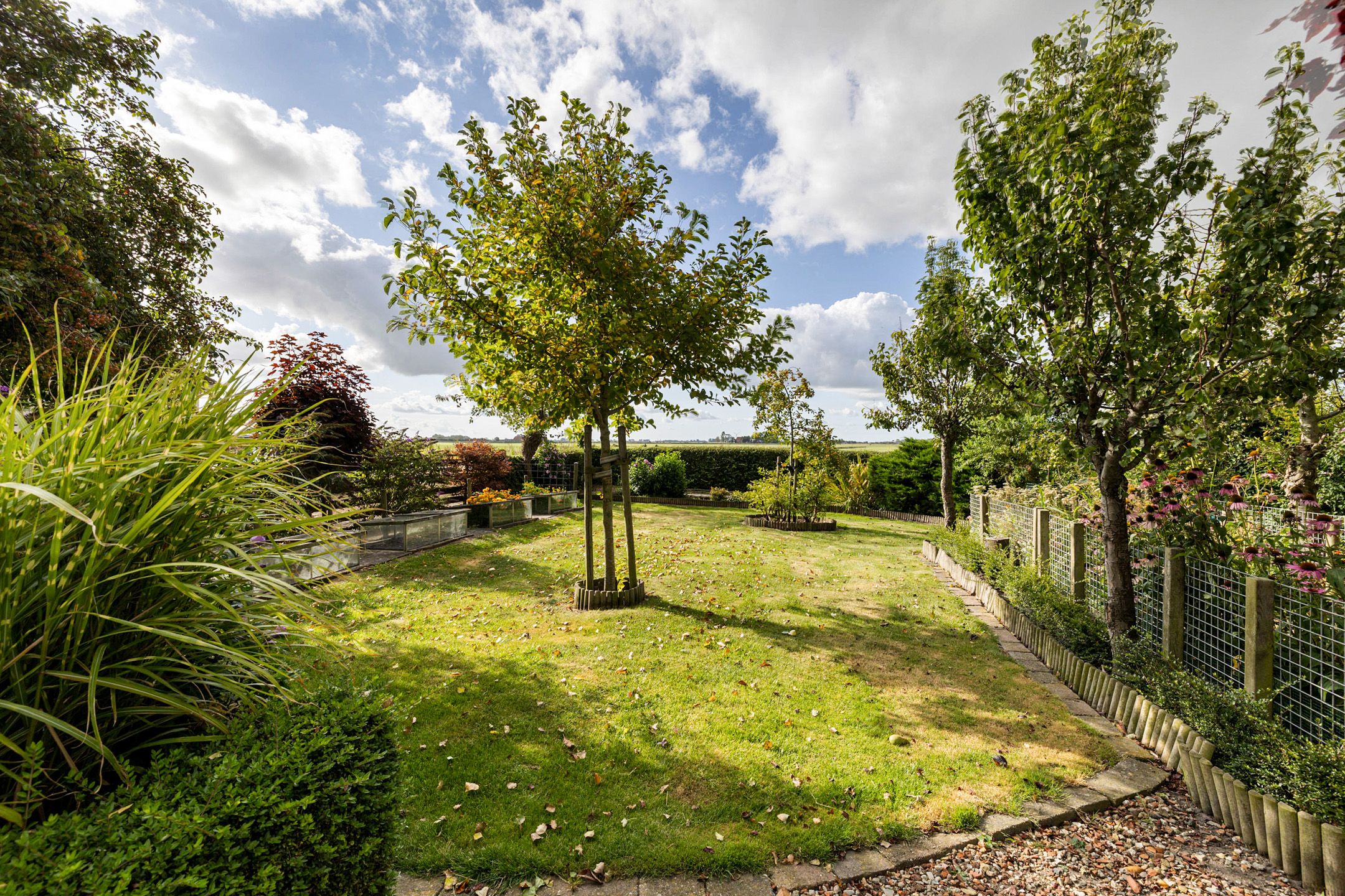 Photo 42 of Krabbedyk 4