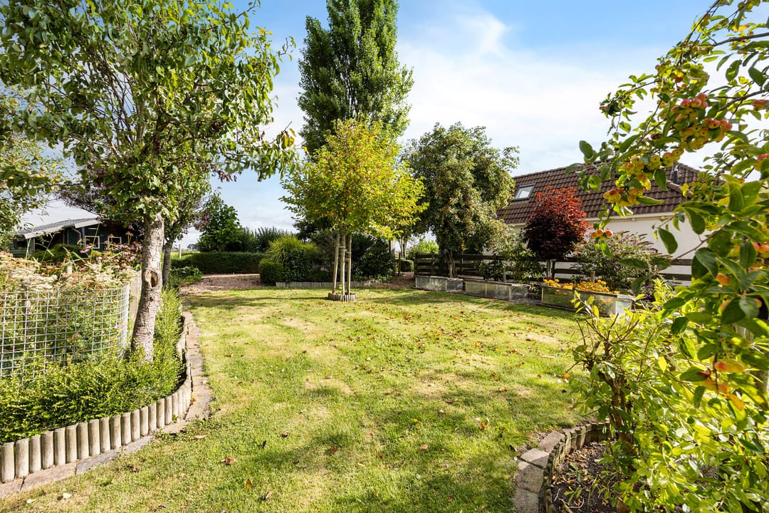 Photo 43 of Krabbedyk 4