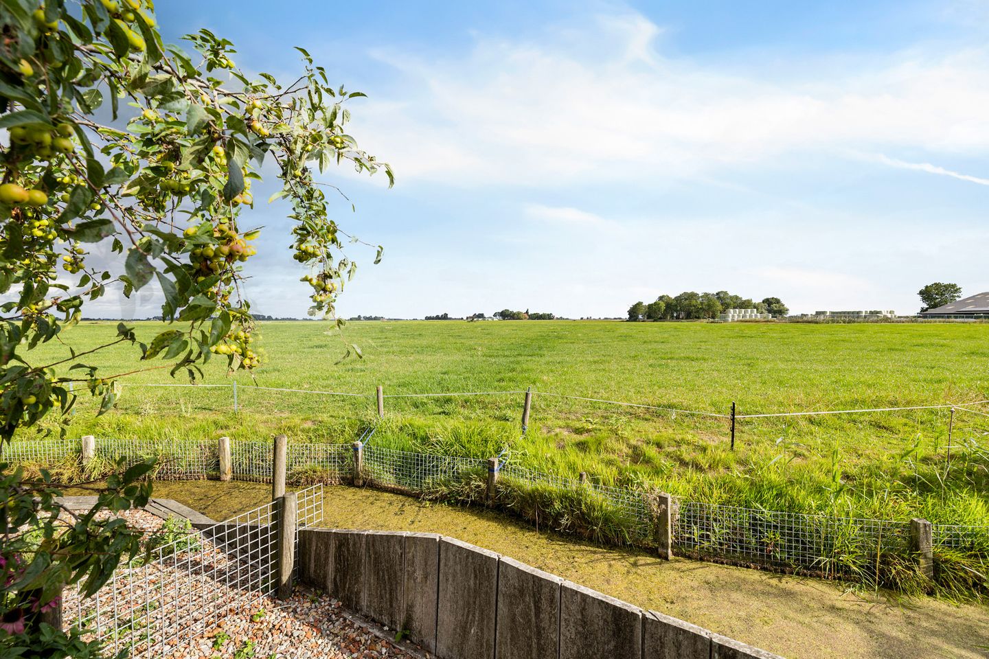 Photo 44 of Krabbedyk 4