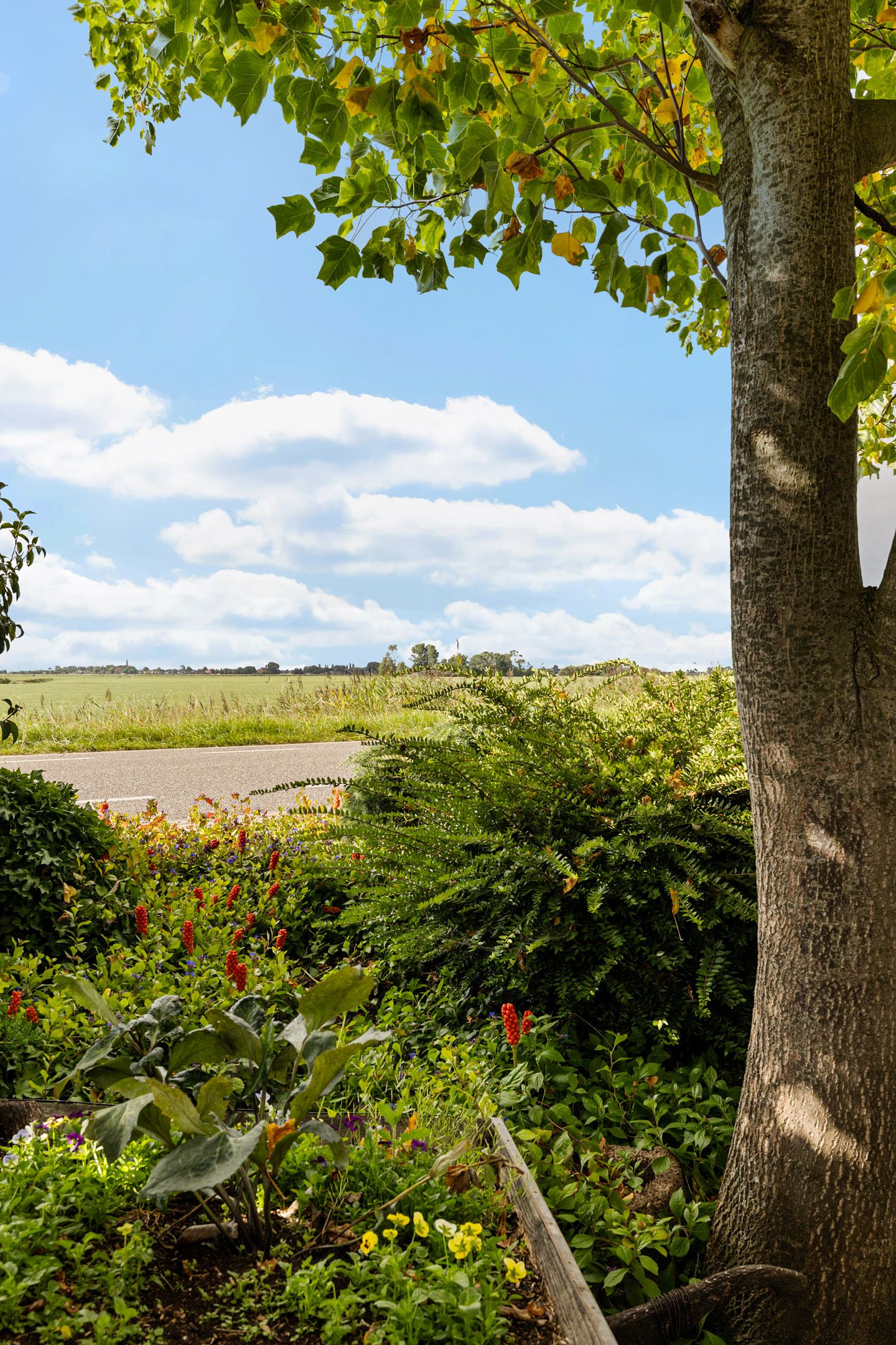 Photo 48 of Krabbedyk 4