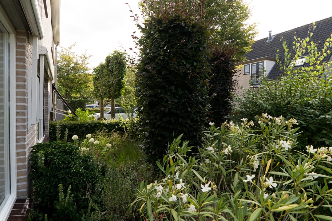 Photo 11 of Geerstuk 1