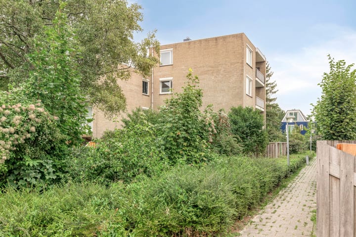 Foto 21 van Archipel 26 17