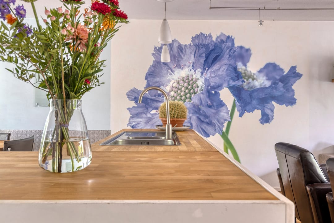 Foto 26 van Pauwmolen 81