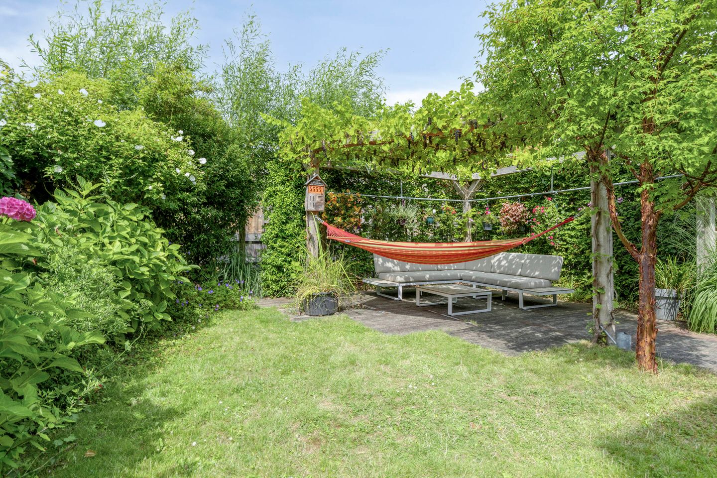 Foto 35 van Pauwmolen 81