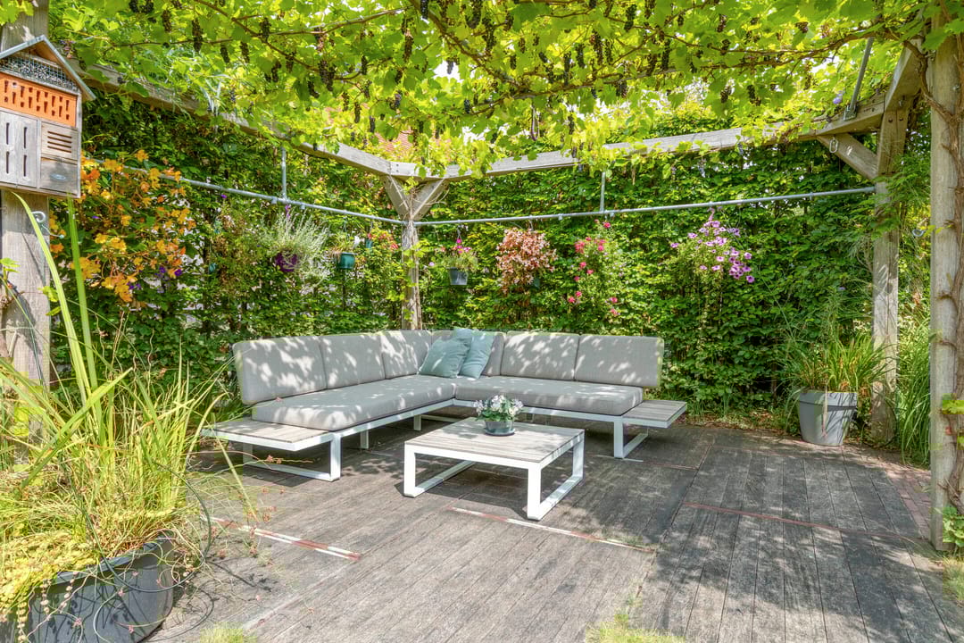 Foto 37 van Pauwmolen 81