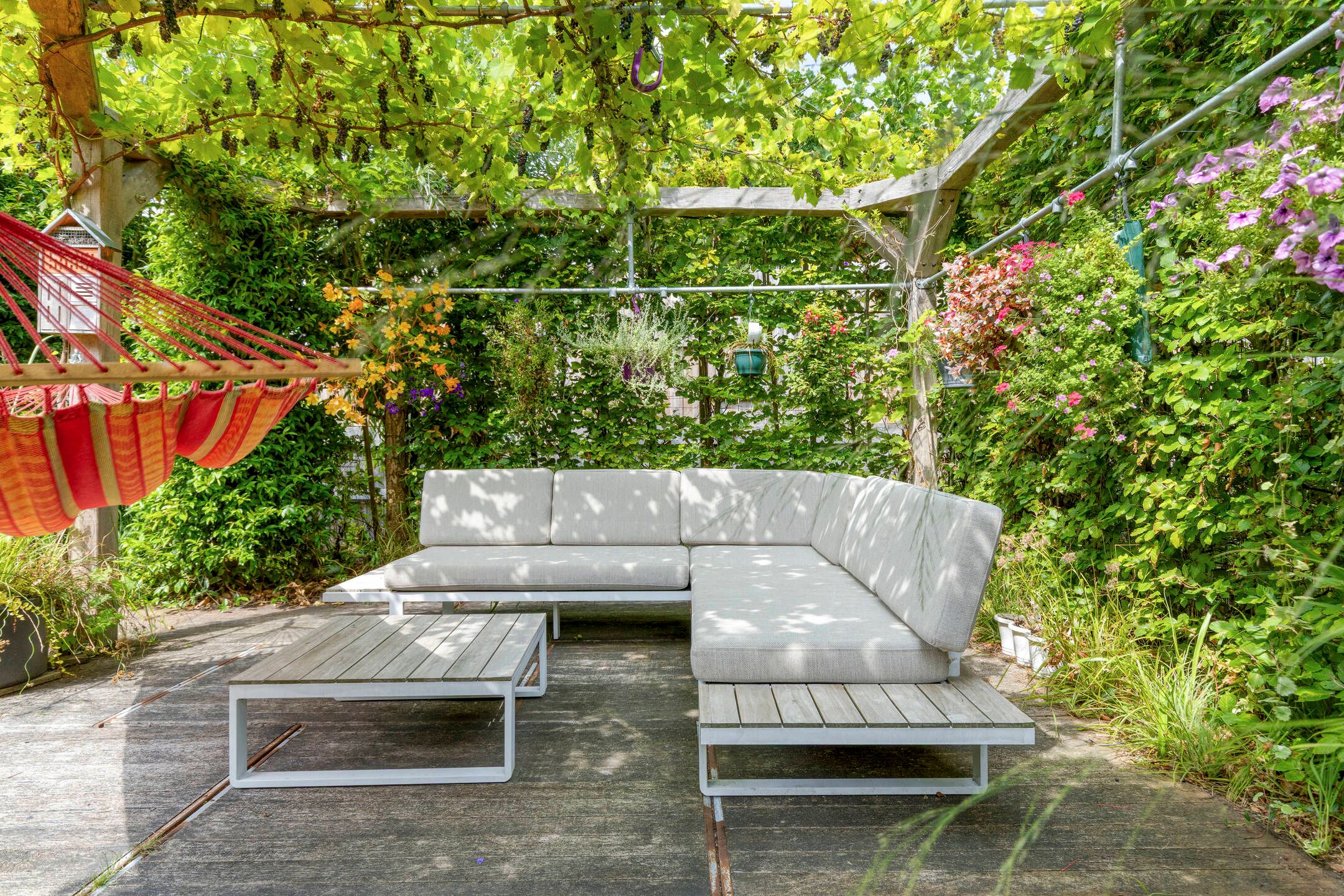 Foto 39 van Pauwmolen 81