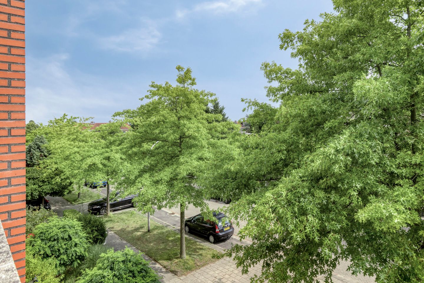 Foto 74 van Pauwmolen 81