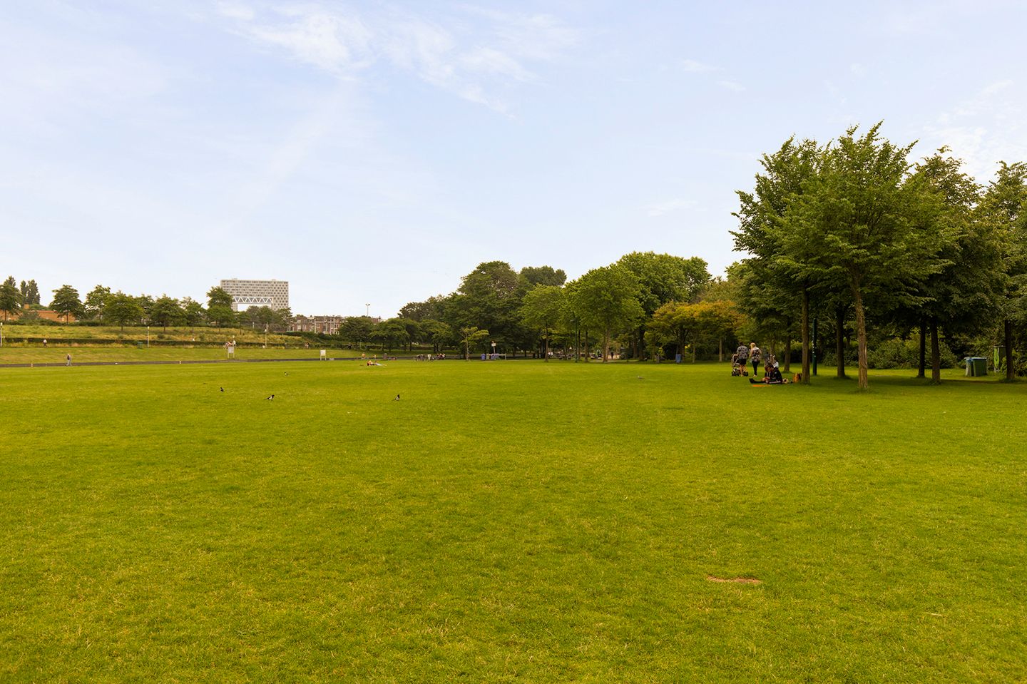 Foto 35 van Doggersbankstraat 12-3