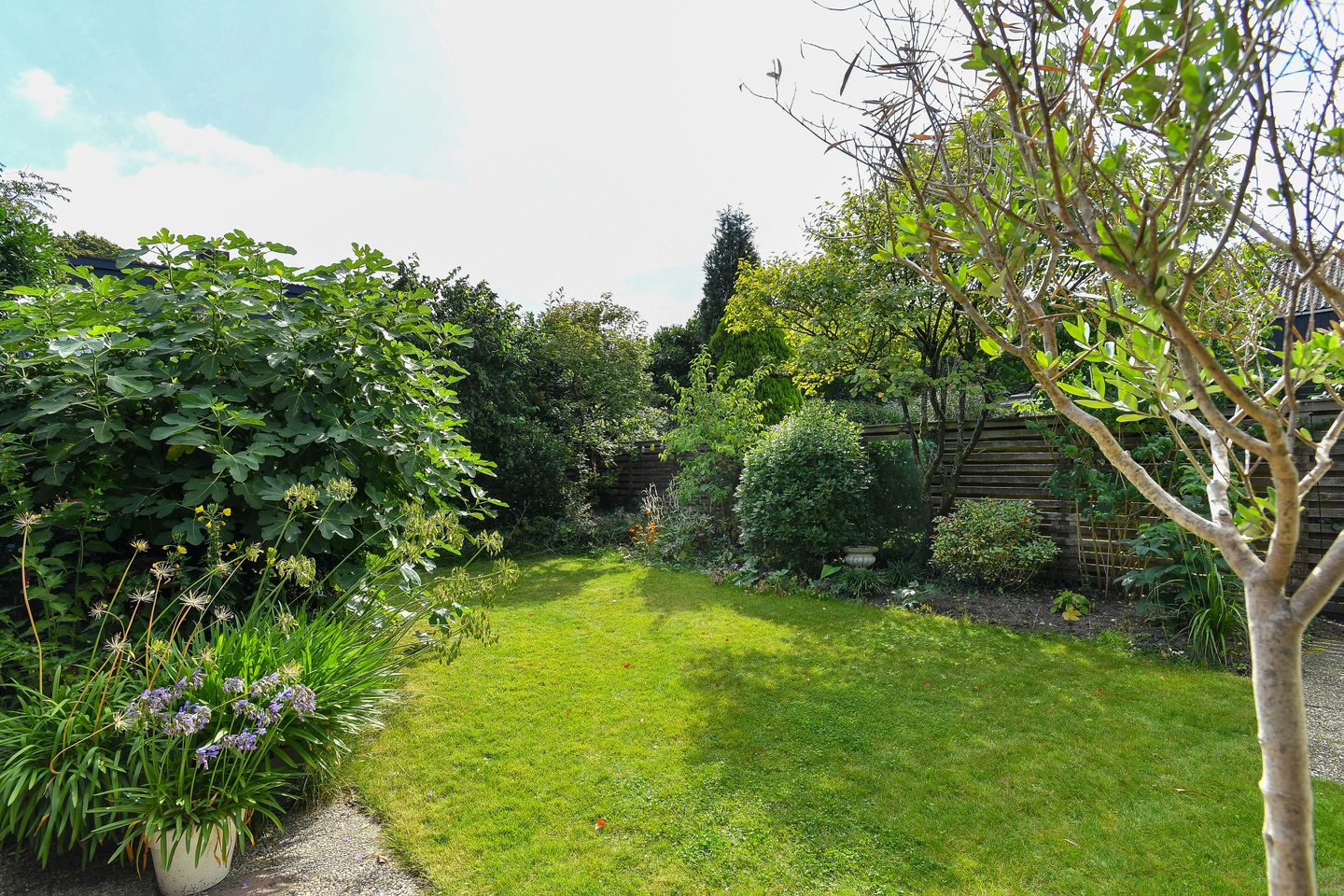 Photo 35 of Tramstraat 44