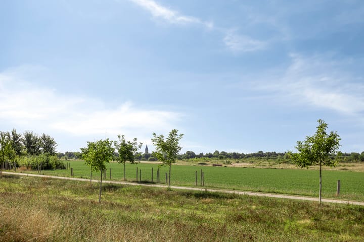 Foto 42 van Stormramruwe 18