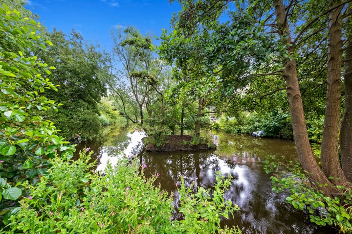 Foto 35 van Pinksterbloemplein 4