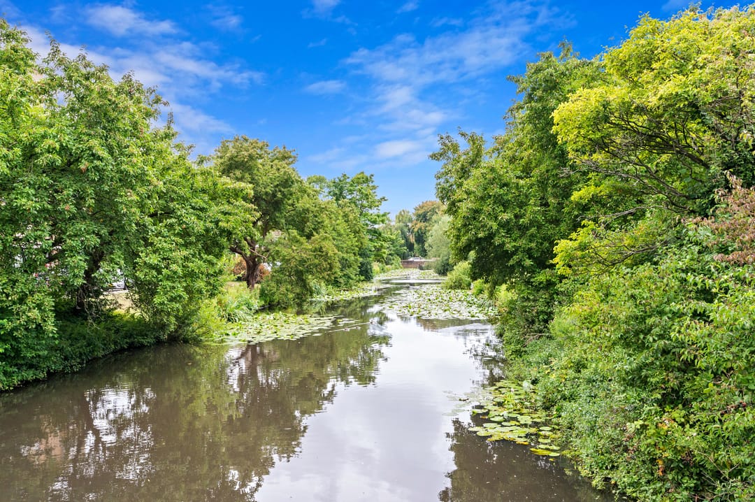 Photo 37 of Pinksterbloemplein 4