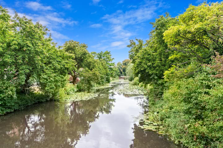 Foto 37 van Pinksterbloemplein 4