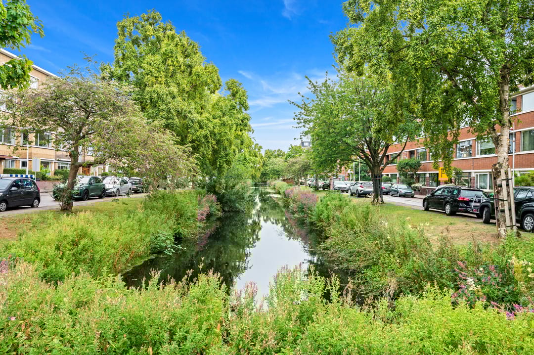 Photo 38 of Pinksterbloemplein 4