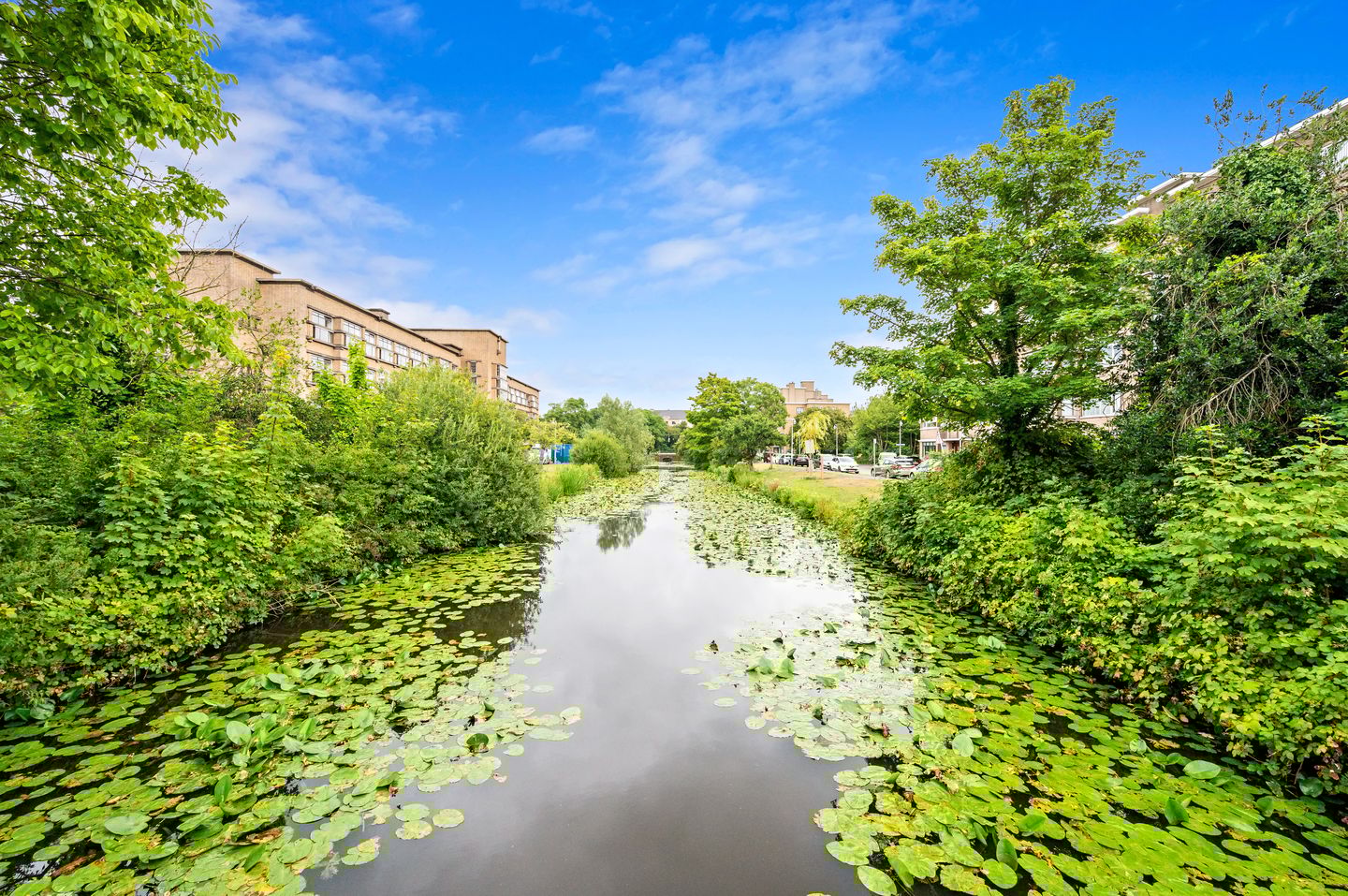 Photo 40 of Pinksterbloemplein 4