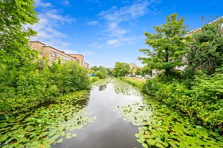 Foto 40 van Pinksterbloemplein 4