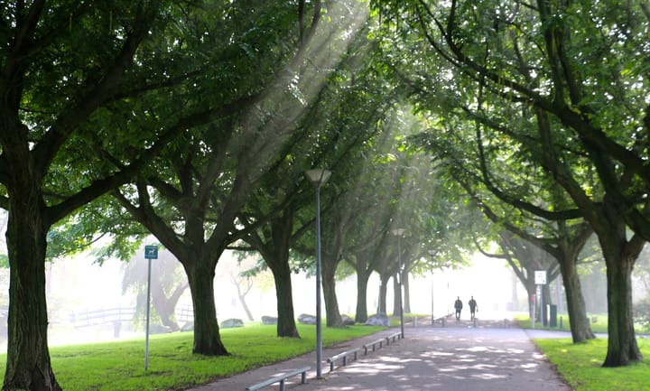 Foto 24 van Schaarsbergenstraat 135