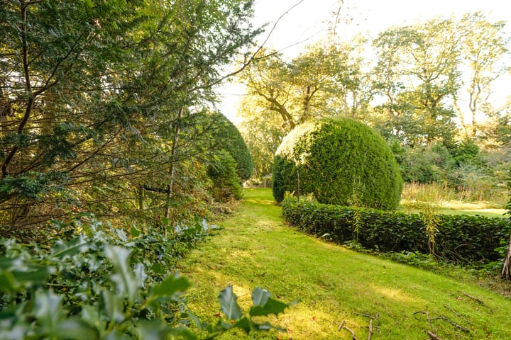 Photo 23 of Schouwweg 86