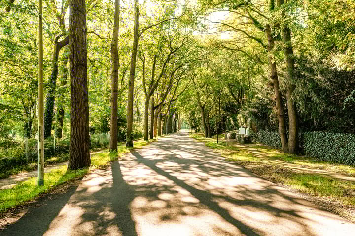 Photo 81 of Schouwweg 86