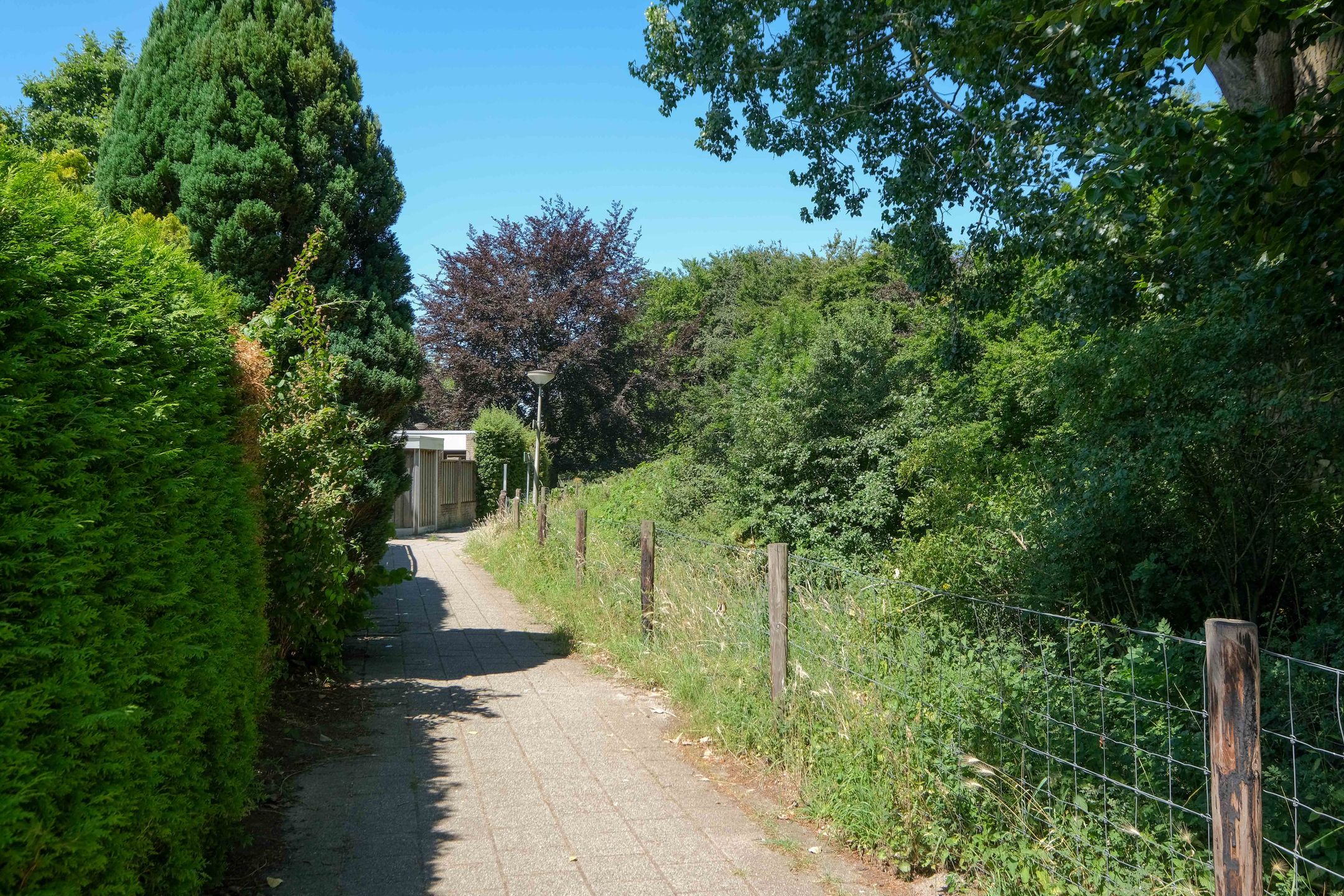 Foto 42 van Hankemaborg 71