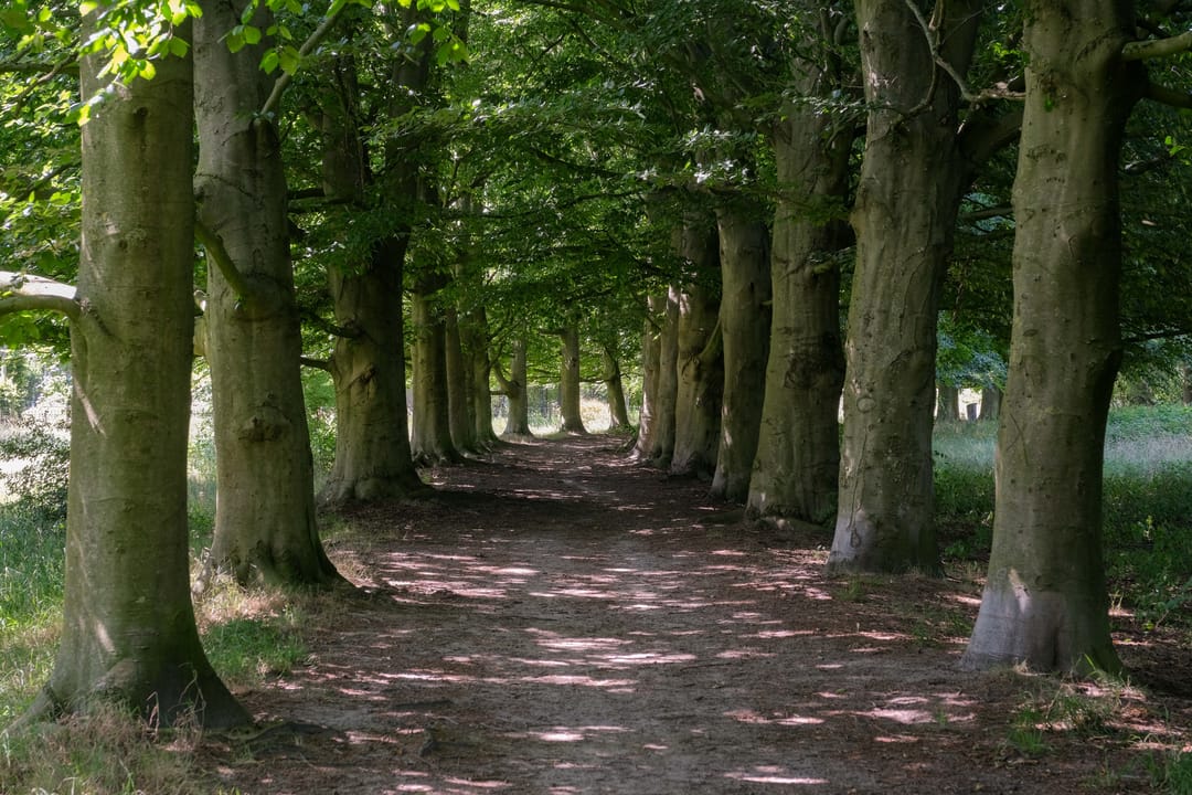 Foto 47 van Hankemaborg 71