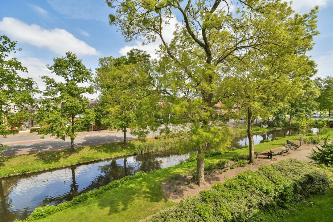 Foto 16 van Adriaen van Ostadelaan 20