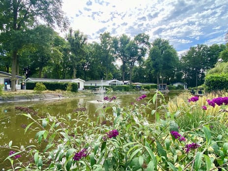 Hommelweg 2-489 secondary image