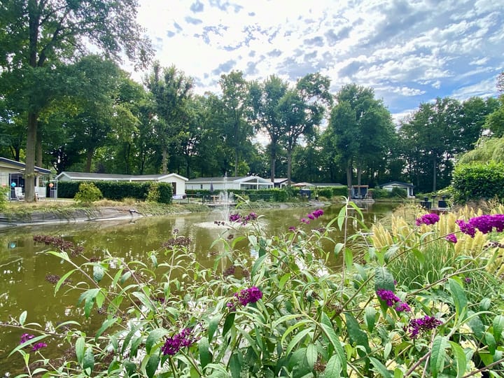 Foto 2 van Hommelweg 2-489