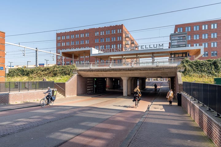 Foto 44 van Zonnehout 17