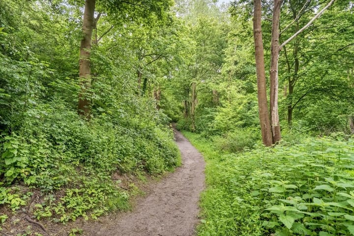 Foto 33 van Burgemeester Patijnlaan 344