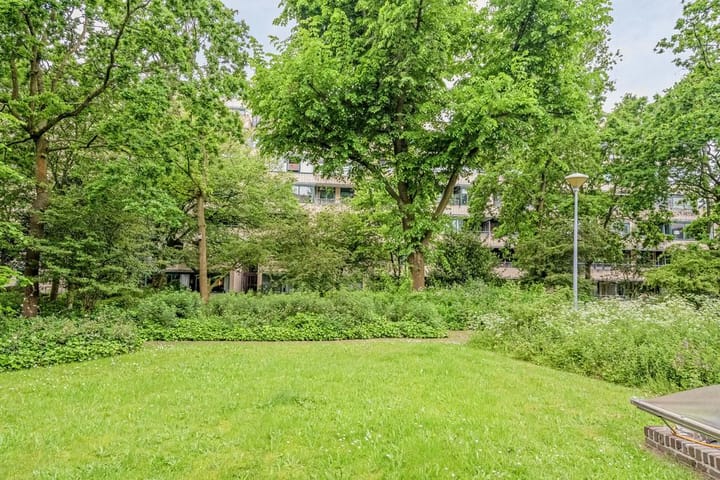 Foto 34 van Burgemeester Patijnlaan 344