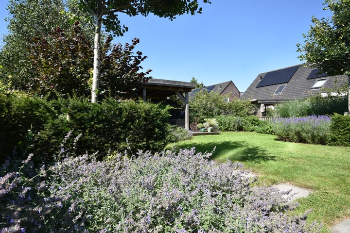 Foto 12 van De Wjukken 2