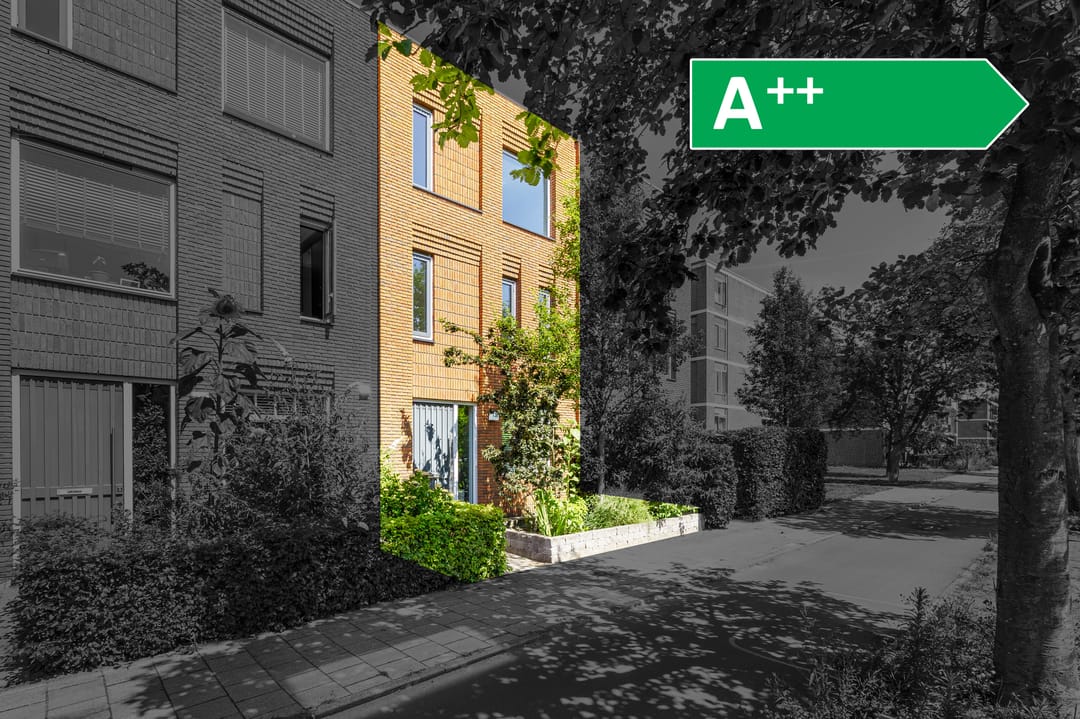 Foto 2 van Finnenburg 136