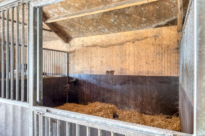 Foto 44 van Zuid Zijperweg 23