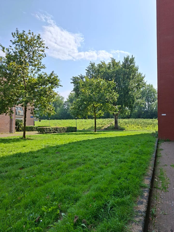 Foto 5 van Houtstraat 15