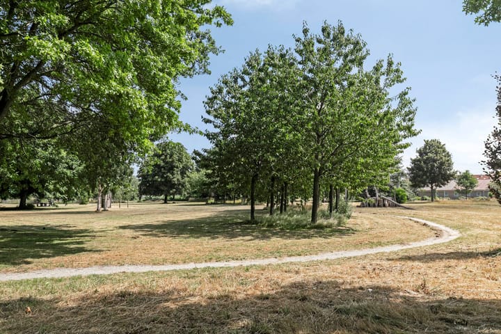 Photo 29 of Cypergrasweg 9