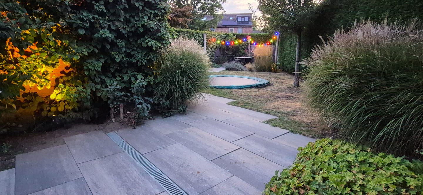 Photo 20 of Bosboomplantsoen 44