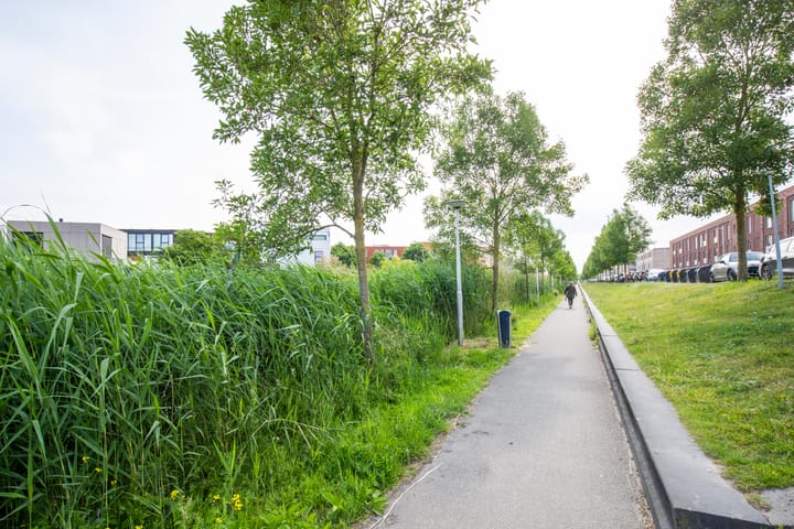 Foto 36 van Jazzsingel 100