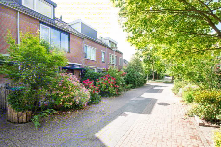 Foto 37 van Vogezen 8