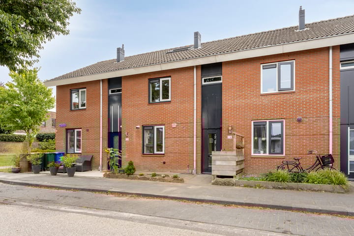 Foto 1 van Pijlkruid 24